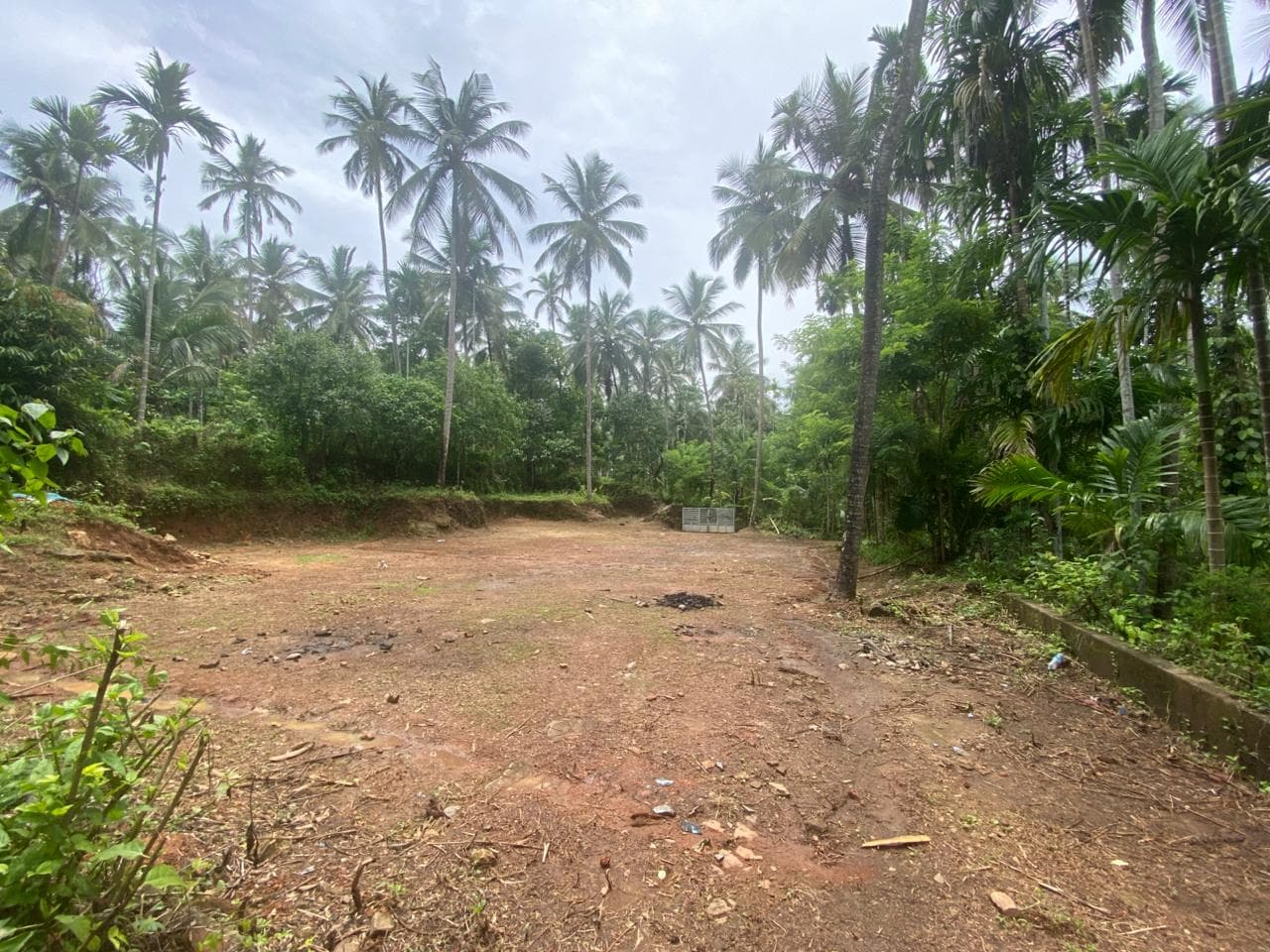 Plot for Sale in Balusseri Mukku, Kozhikode