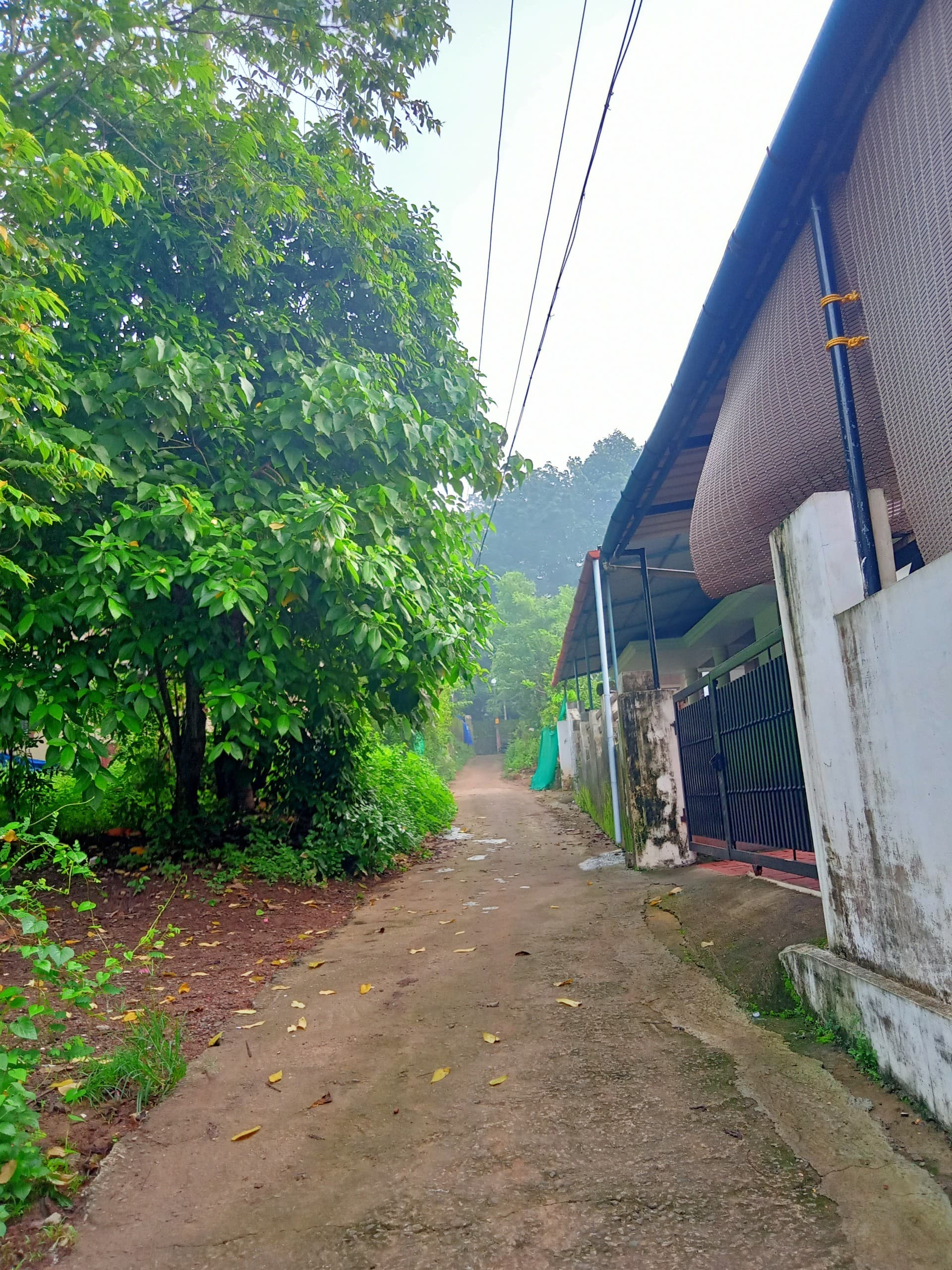 Plot for Sale in Vazhakulam, Kochi