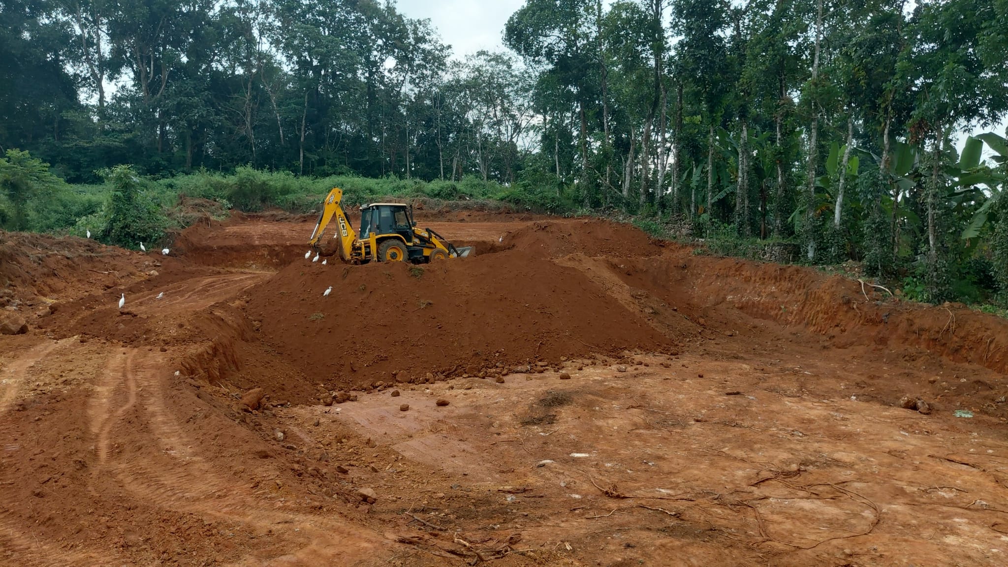 20 cent Residential plot in kottayam