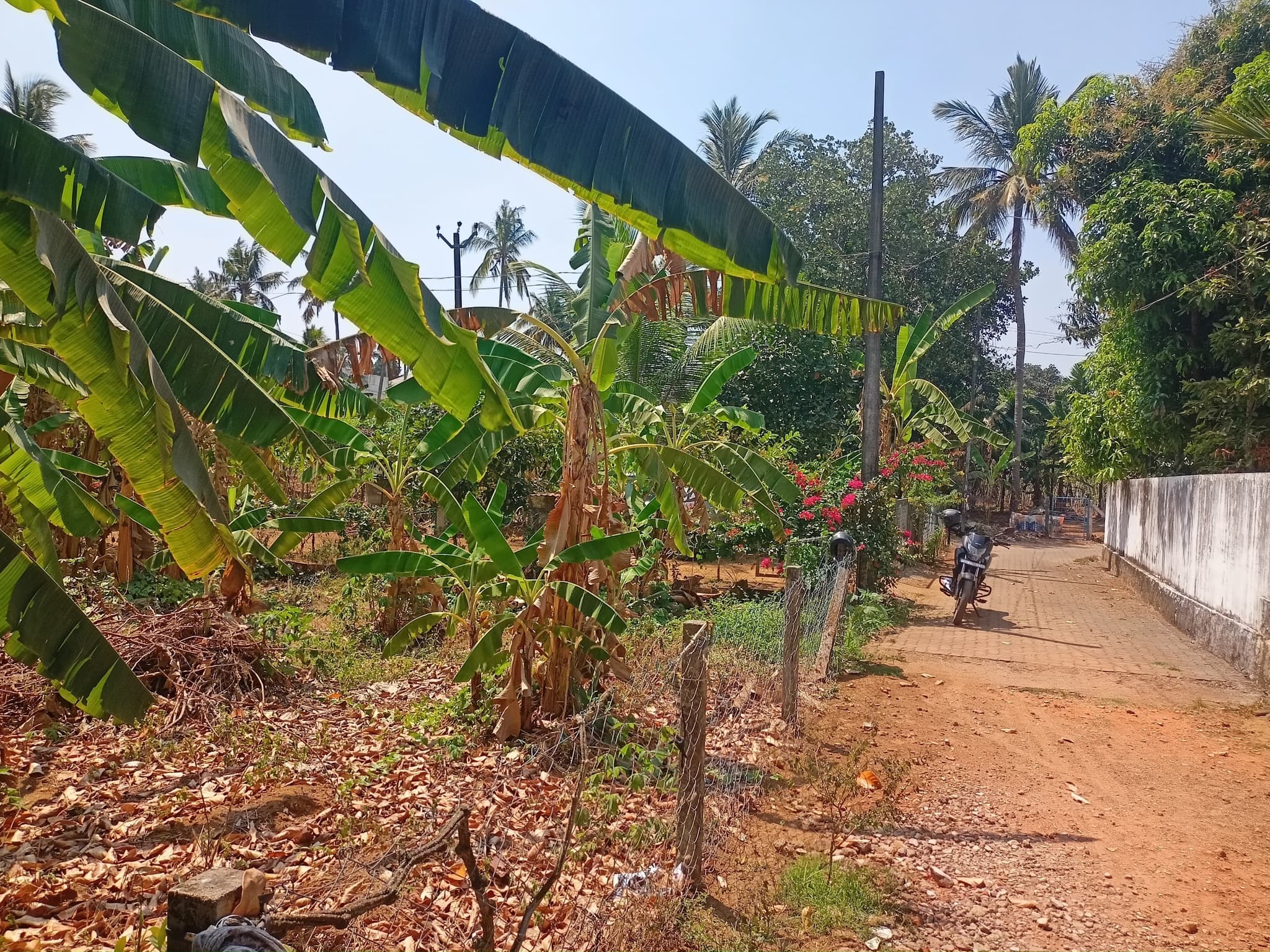 Plot for Sale in Ponganamkadu, Thrissur