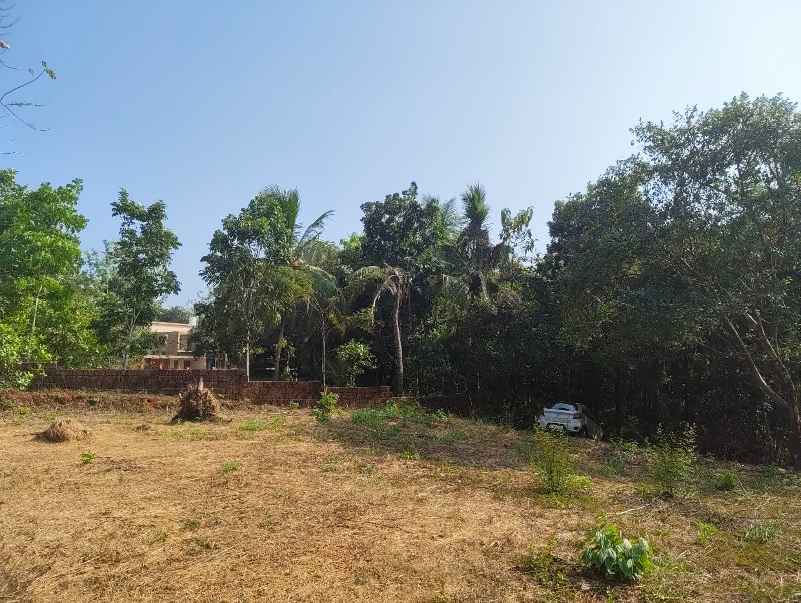 Plot for Sale in Chammattamvayal, Kasaragod