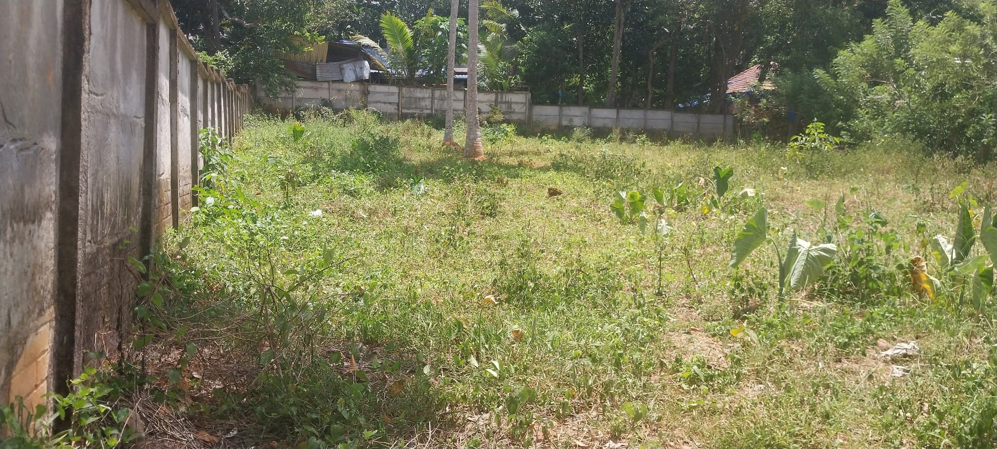Plot for Sale in Parasuvaikkal, Thiruvananthapuram