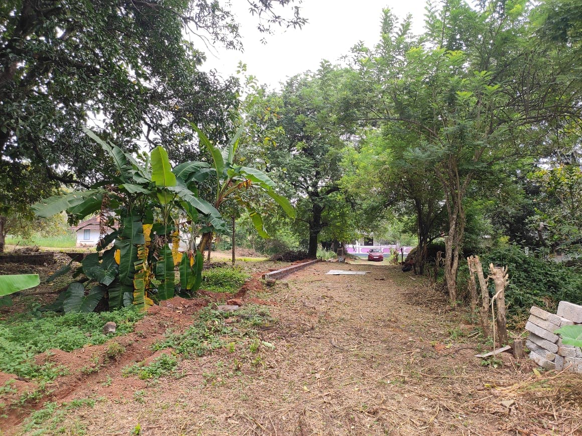 Plot for Sale in Cheerachi, Thrissur