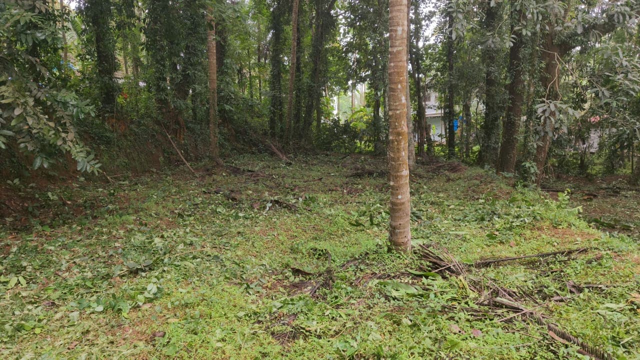 Plot for Sale in Velampattu Colony, Kozhikode