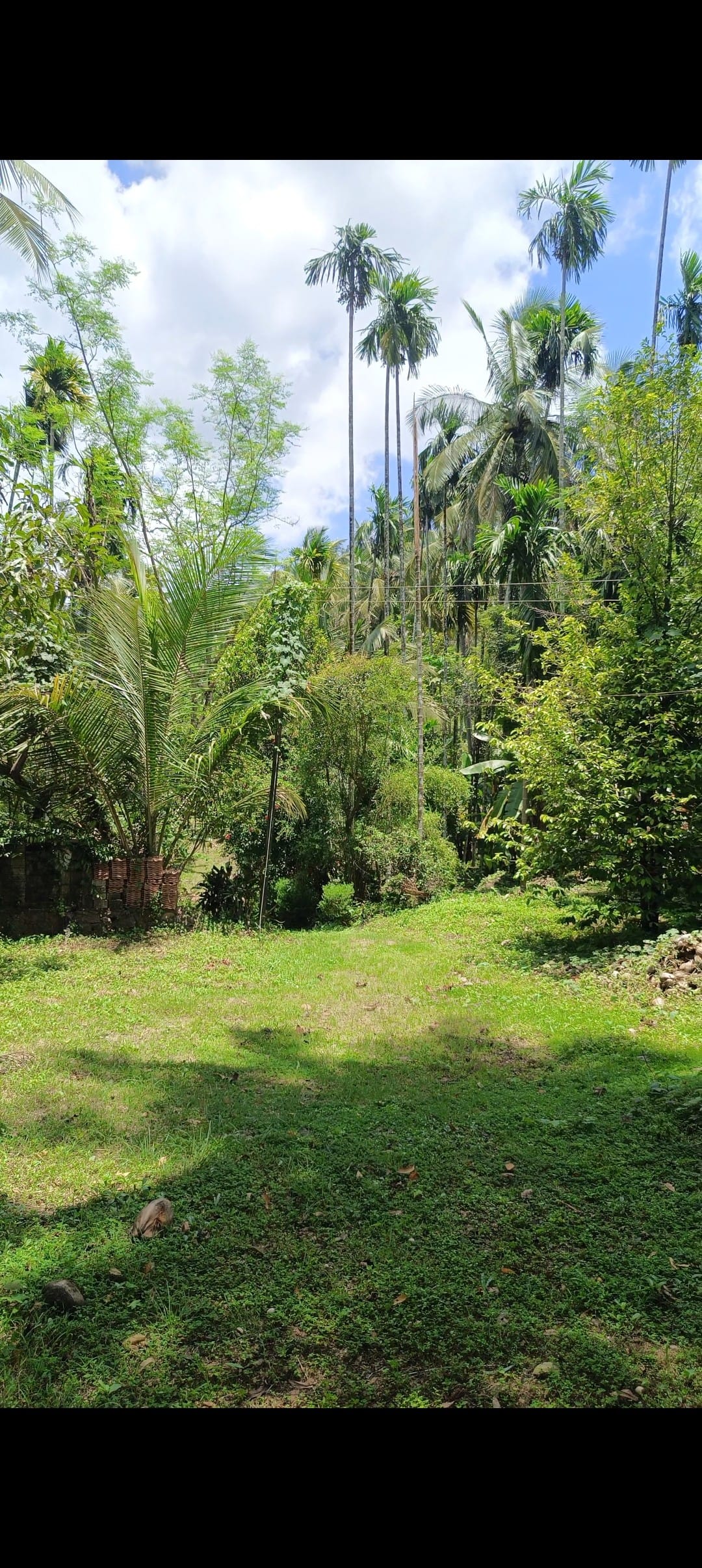 Farm land for sale