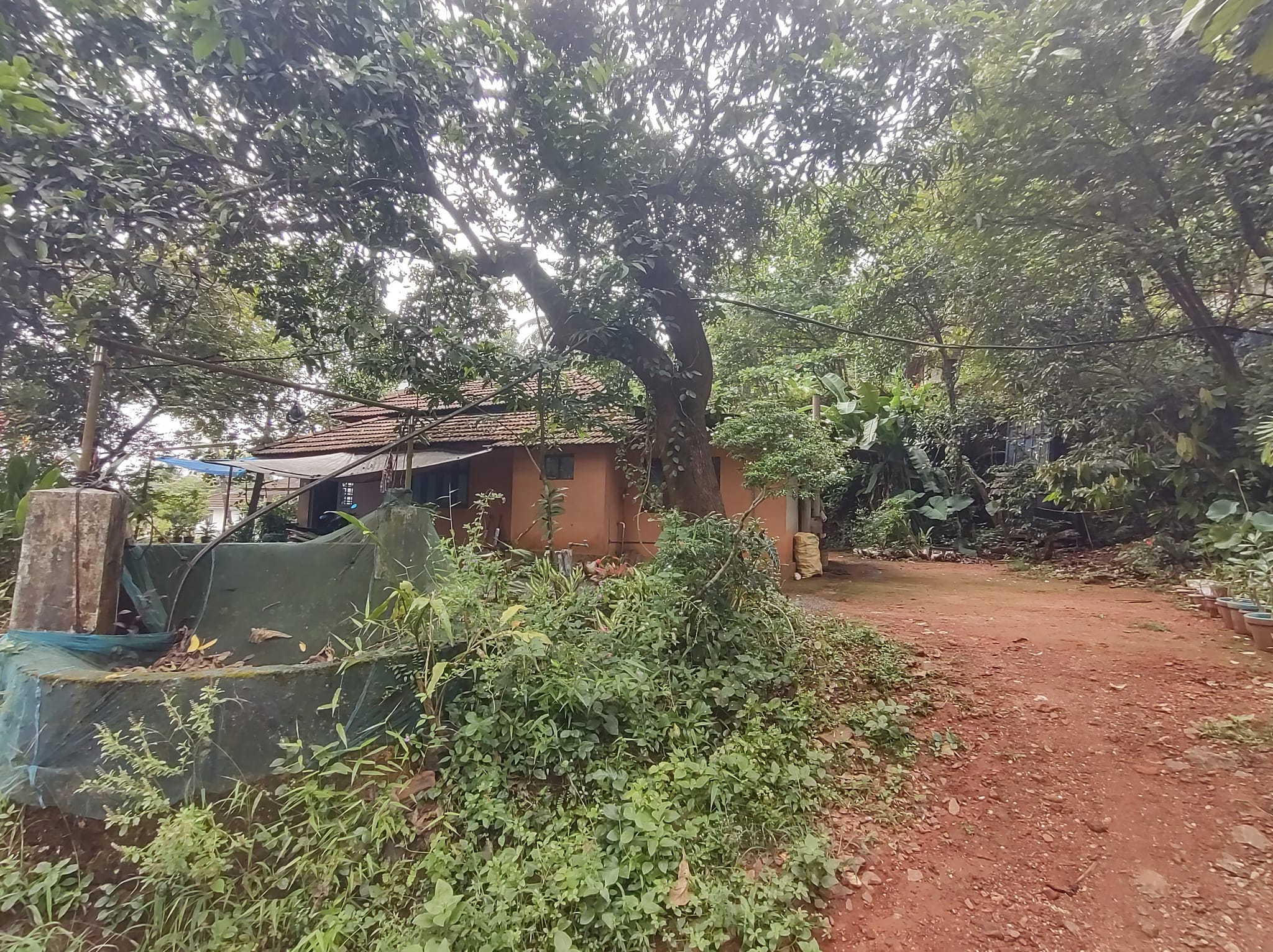 Old House for Sale with 14 Cent Land edavanna,pathappiriyam