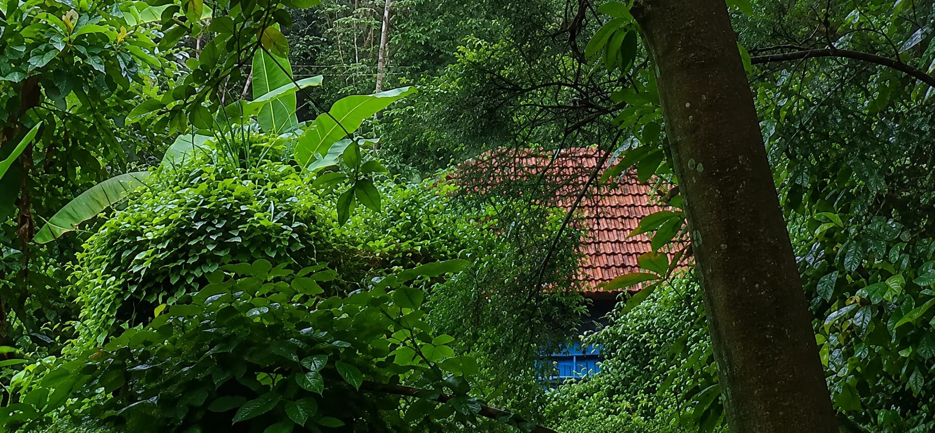 Plot for Sale in Chathankulam Colony, Palakkad