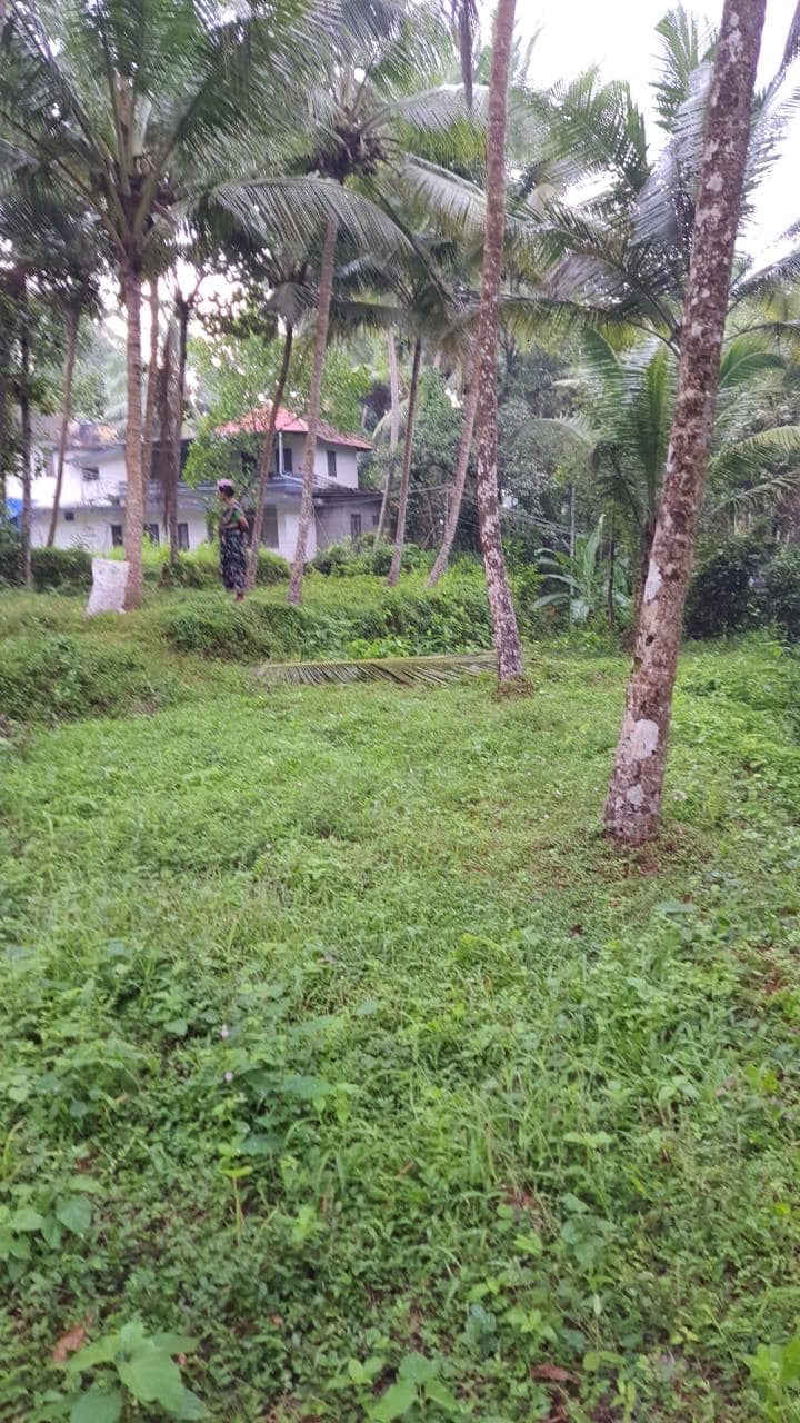 Plot for Sale in Peringathur, Kannur