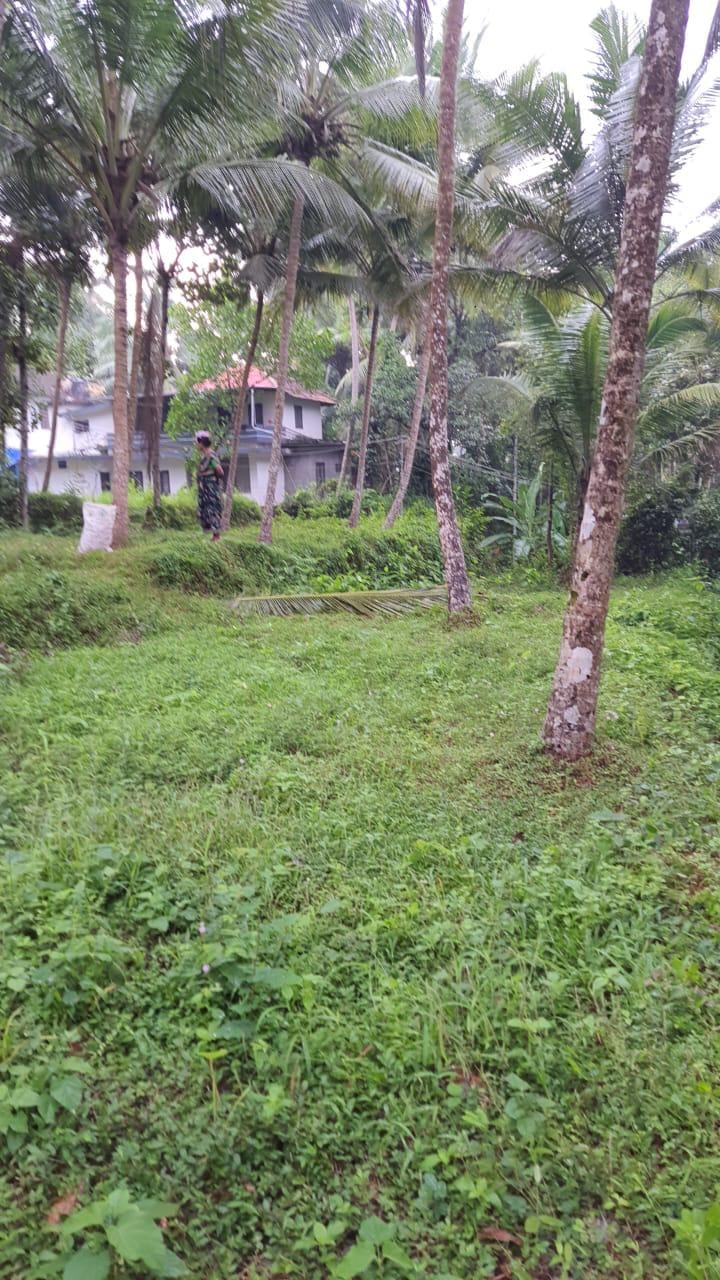 Ellil gurujimukku