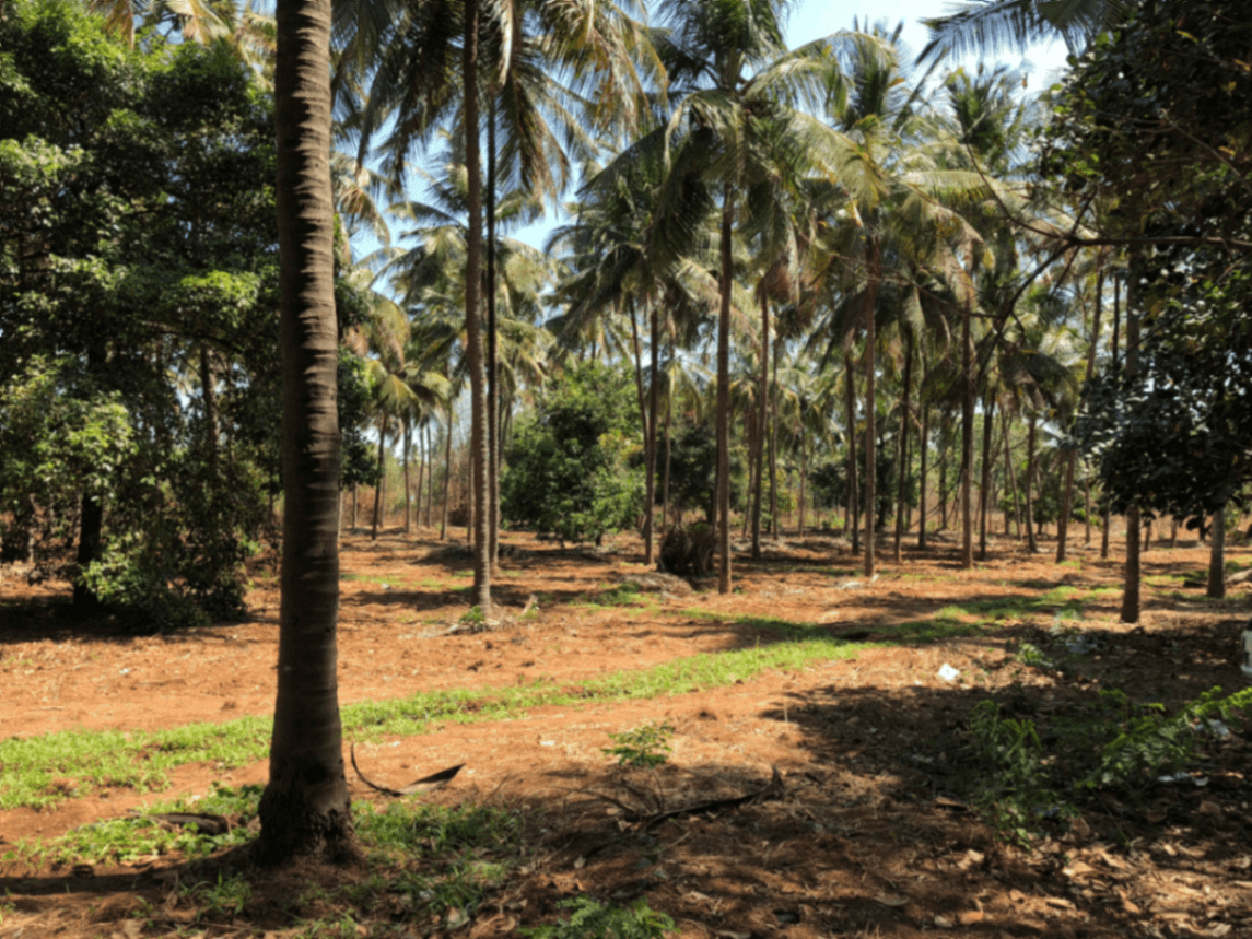 Land with two side road for sale