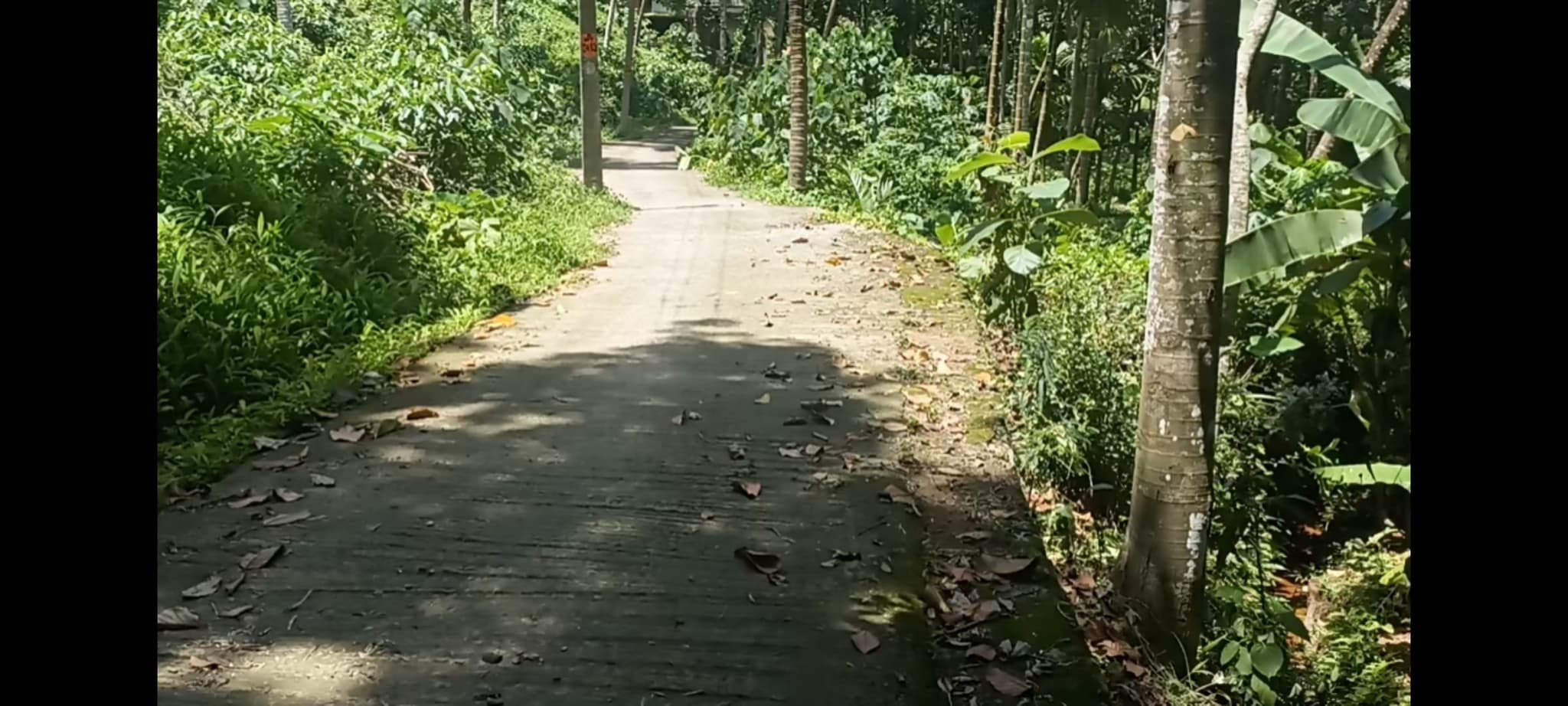 Plot for Sale in Russelpuram, Thiruvananthapuram