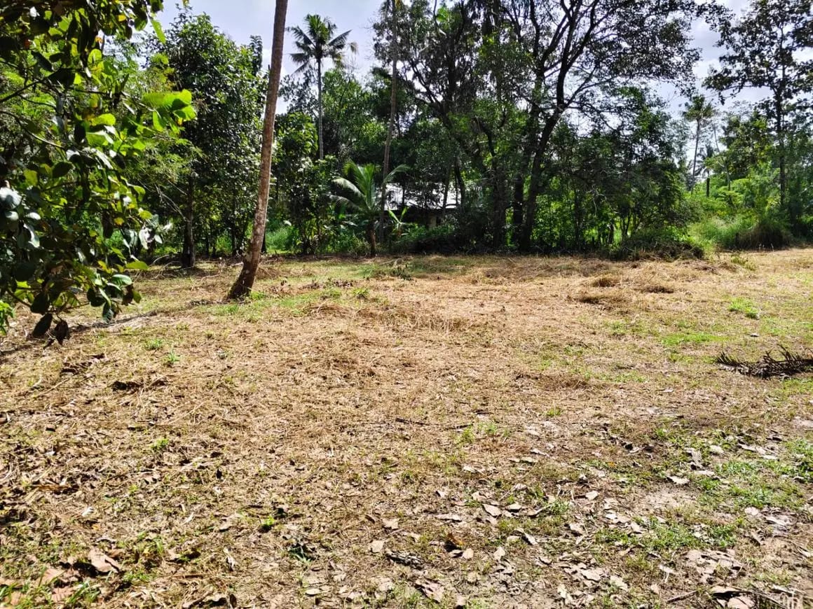 Residential plot at Kodannur center