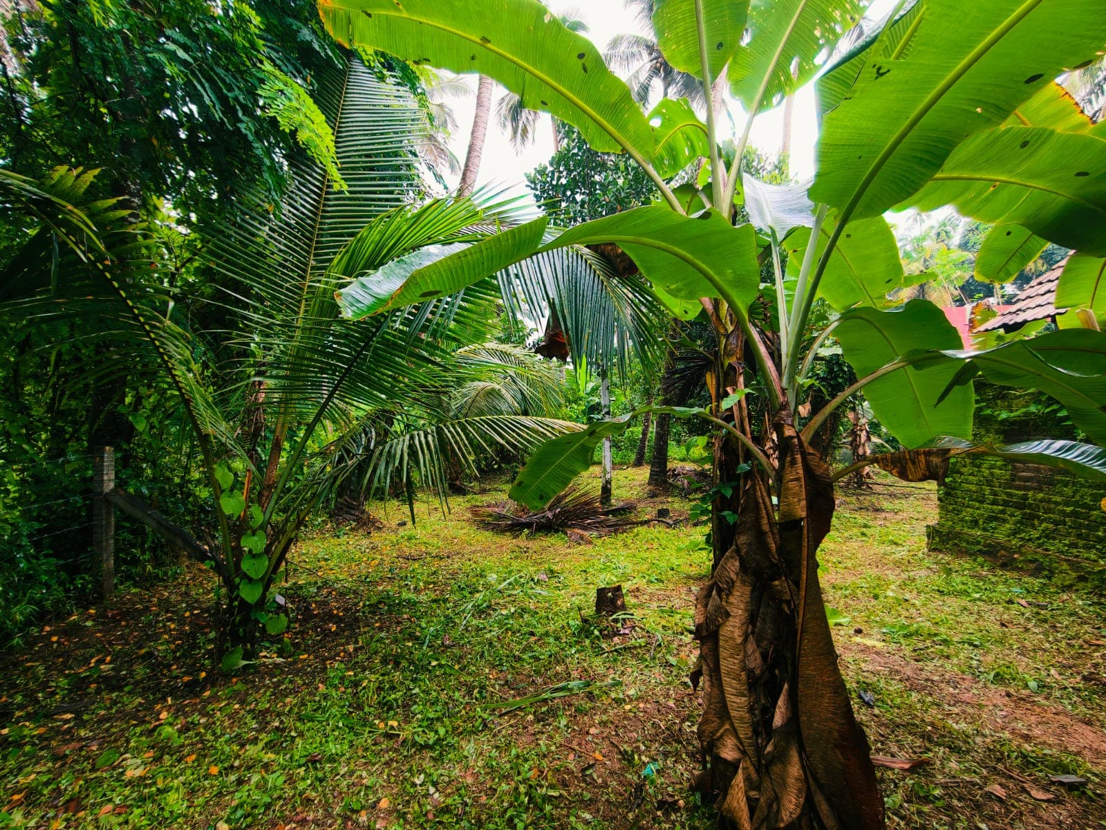 Plot for Sale in Chelakkottukara, Thrissur