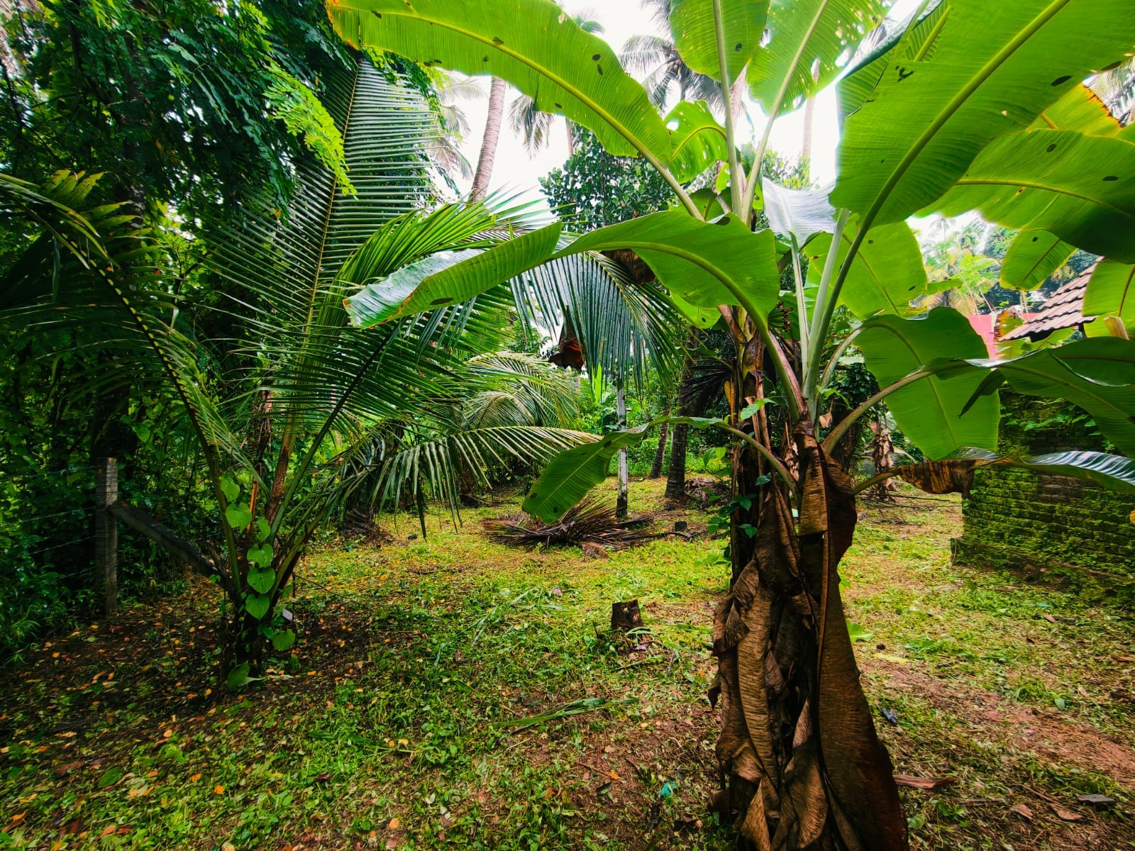 15 Cents Road-Facing Residential Plot for Sale
