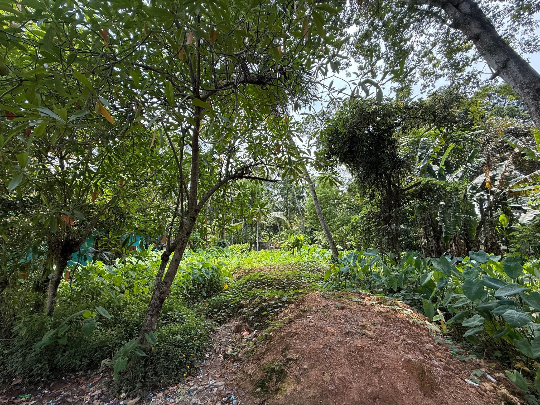 Plot for Sale in Karunagappalli, Kollam