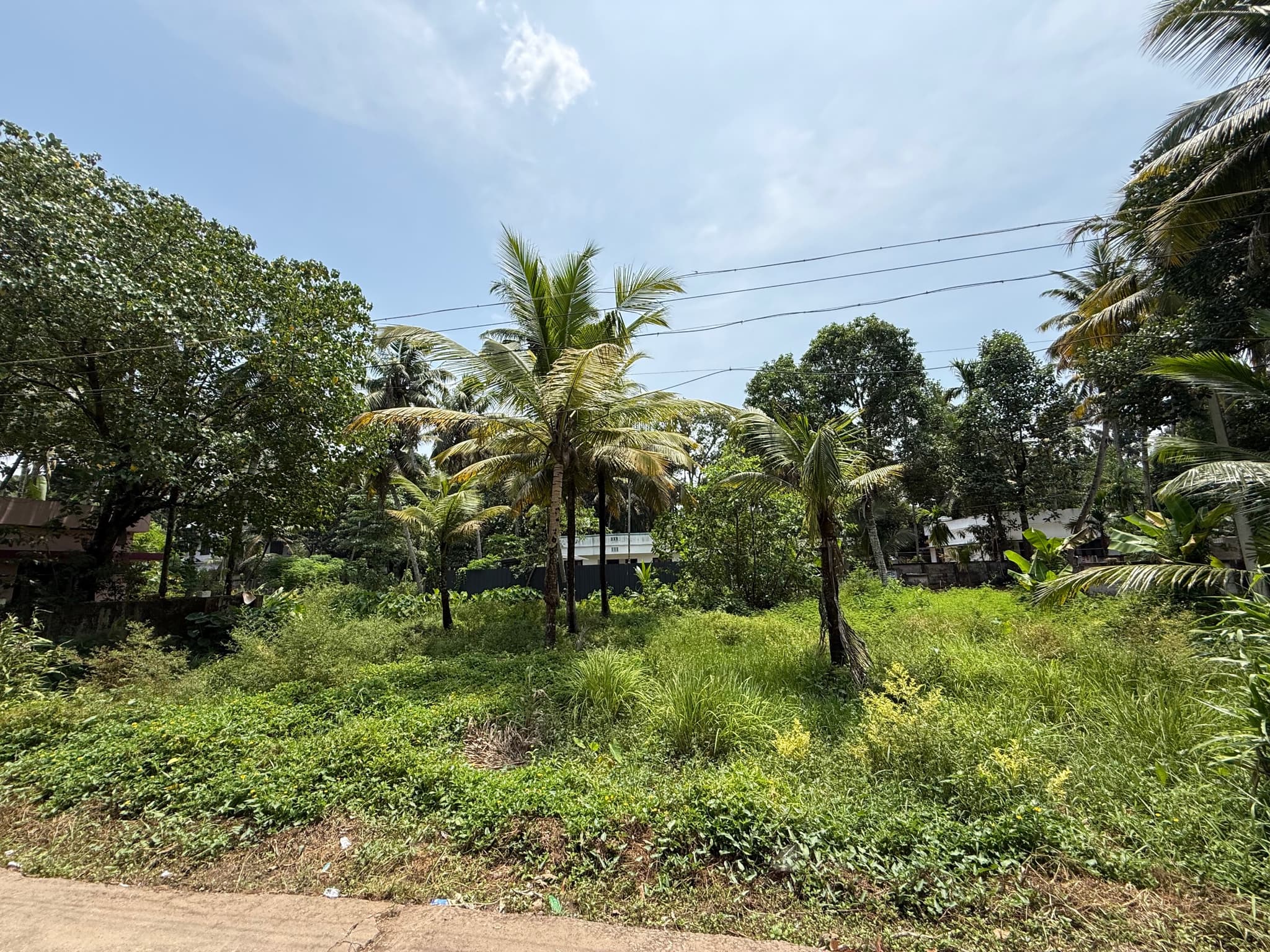 Plot for Sale in Karunagappalli, Kollam
