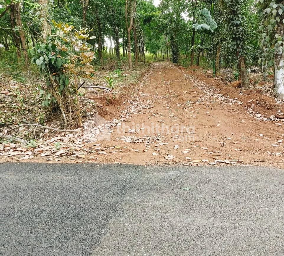 Plot for Sale in Thokkilangadi, Kannur