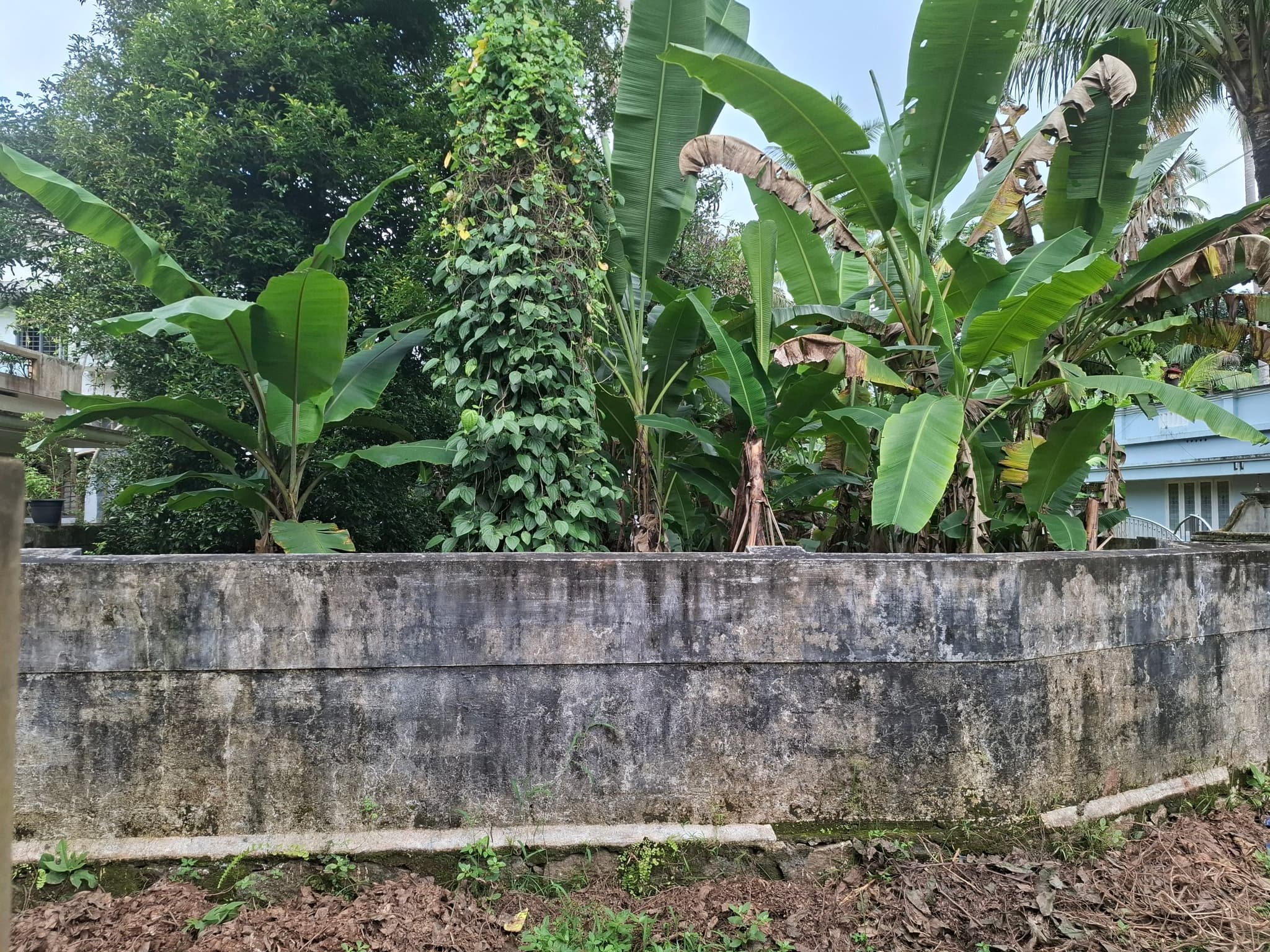 Plot for Sale in Pulloor, Thrissur