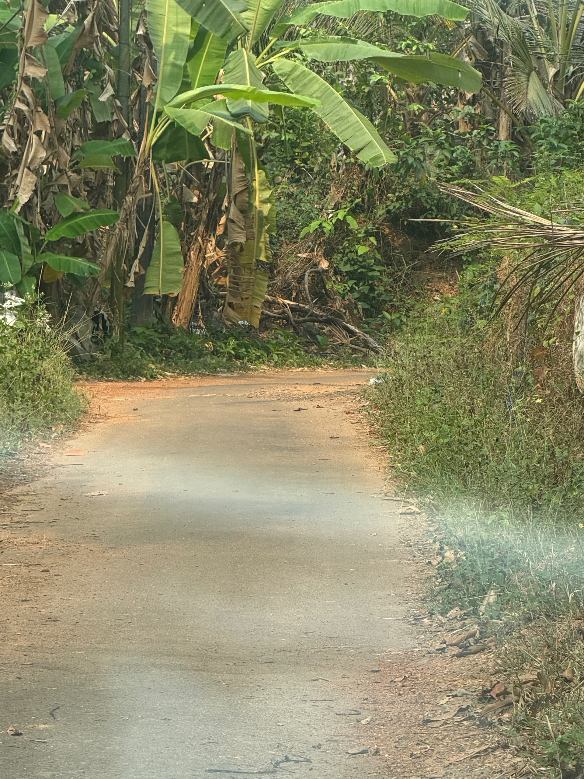 Plot for Sale in Kacheri, Kannur