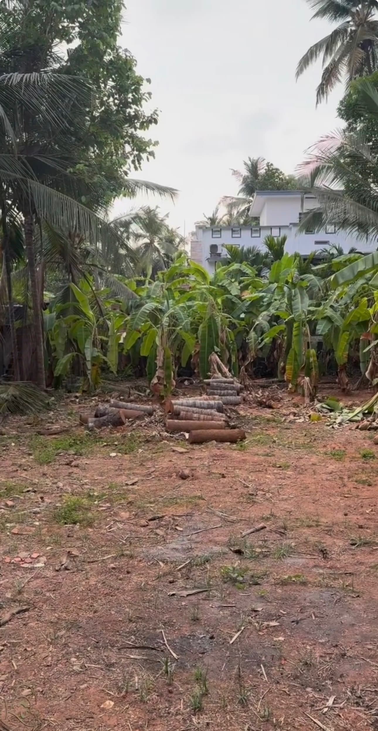 Commercial for Rent in Kakkodi Bazar, Kozhikode