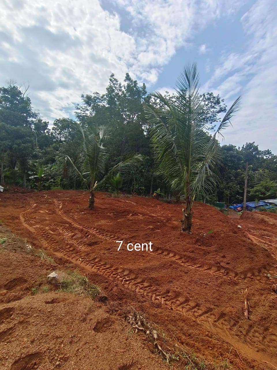 Plot for Sale in Poovachal, Thiruvananthapuram