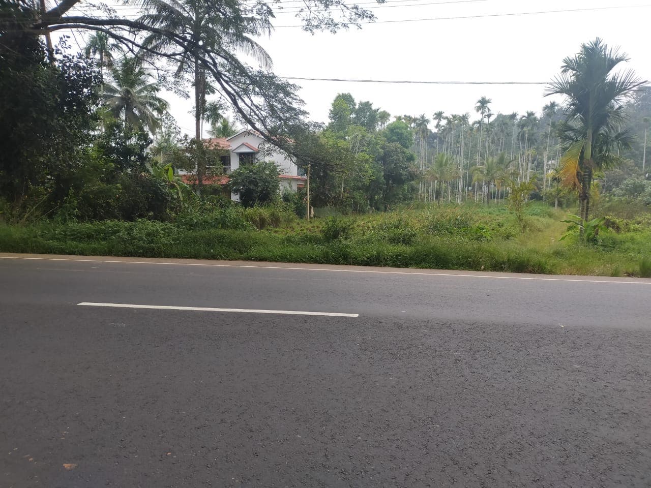 Plot for Sale in Kaippadam Tribal Colony, Variad, Wayanad