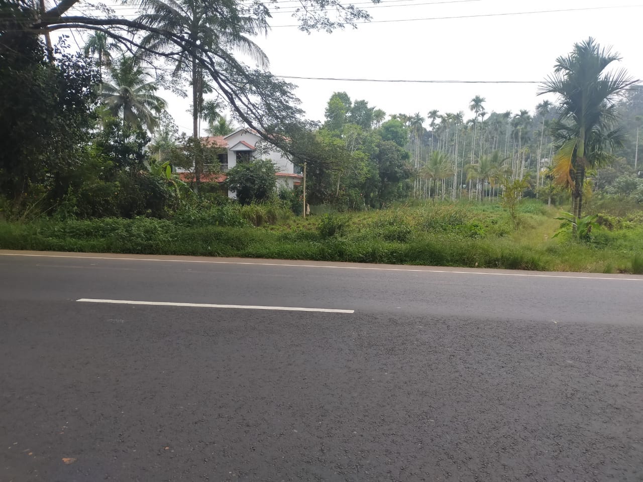 Comercial plot
