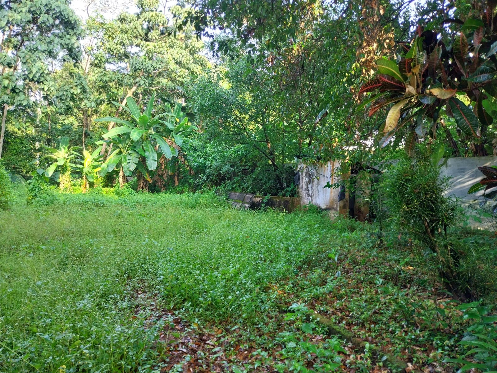 Plot for Sale in Nadavaramb, Thrissur