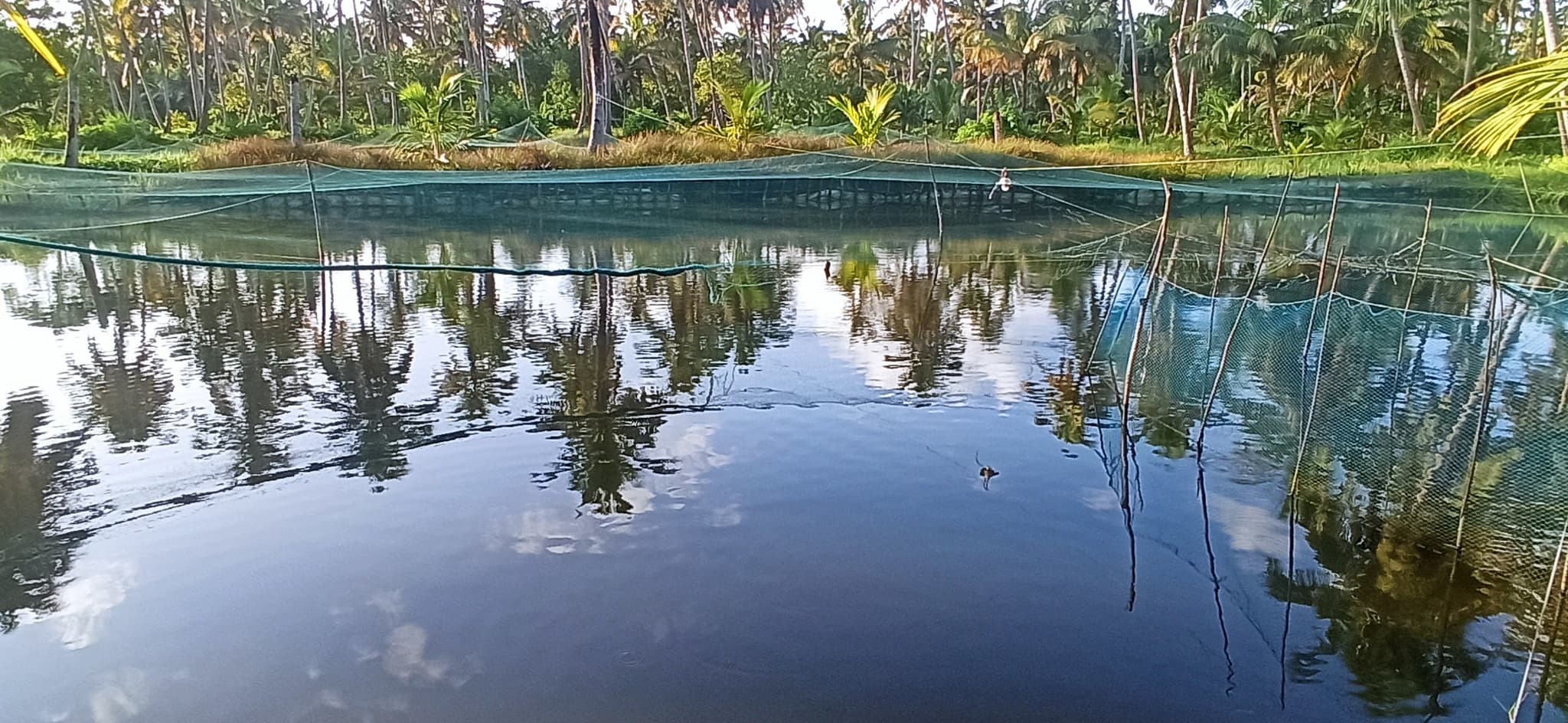 Plot for Sale in Pulikeezhu, Alappuzha