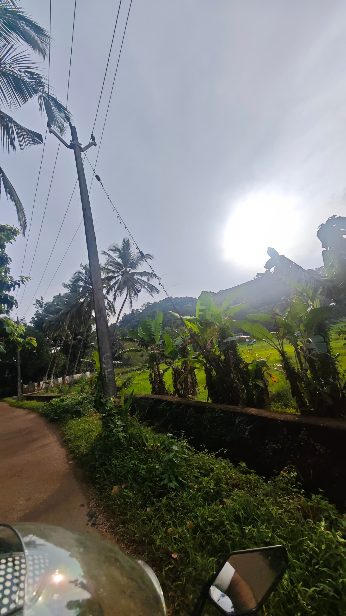 Plot for Sale in Moozhikkal, Kozhikode