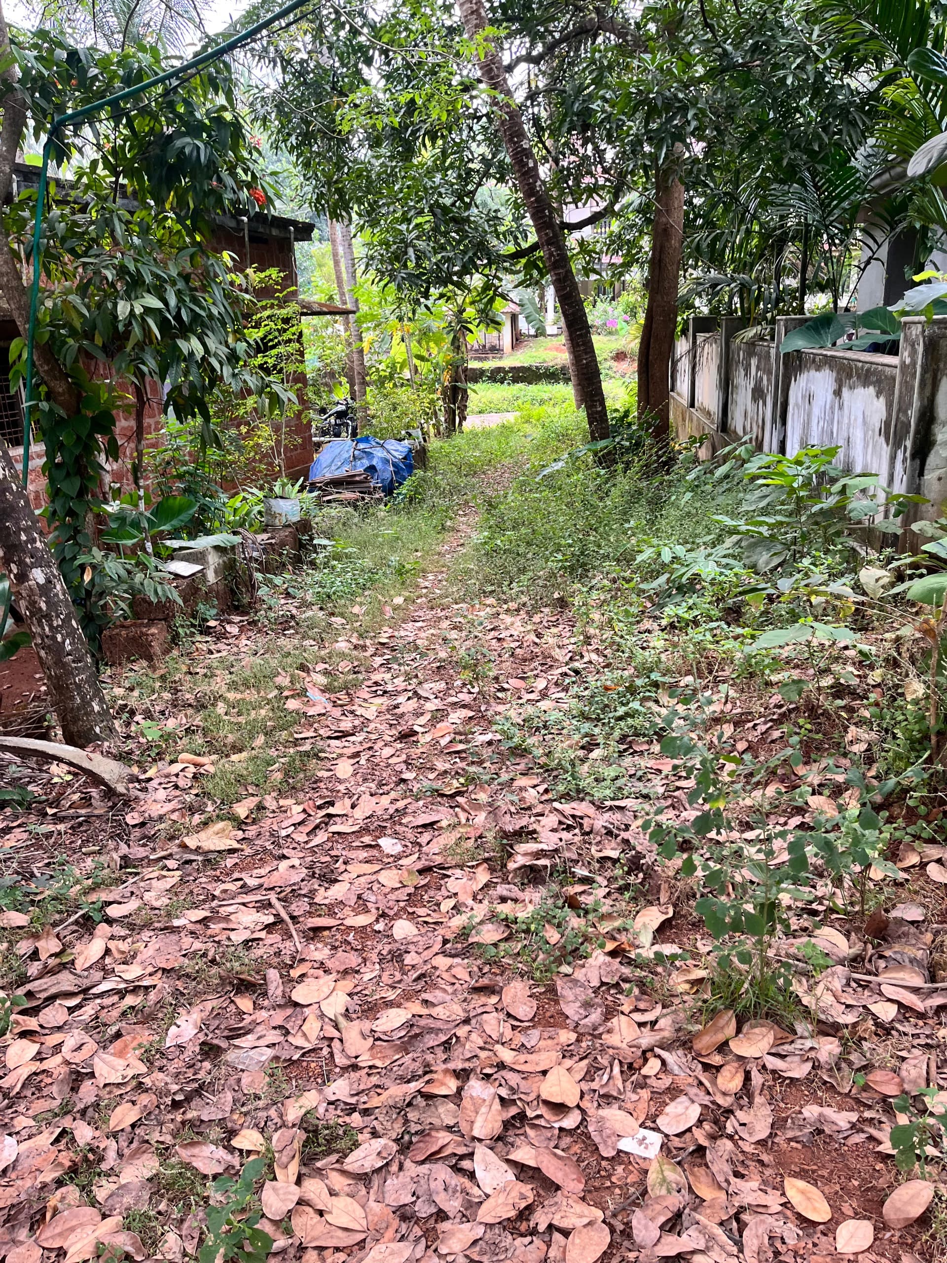 Plot for Sale in Kattipparutti, Malappuram