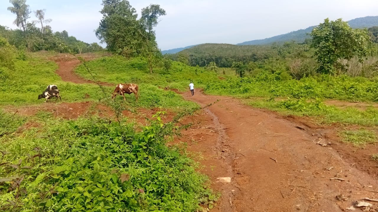 Plot for Sale in Ottupara, Thrissur