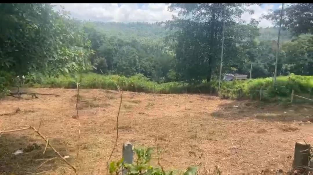 Plot for Sale in Manthandikunnu, Wayanad