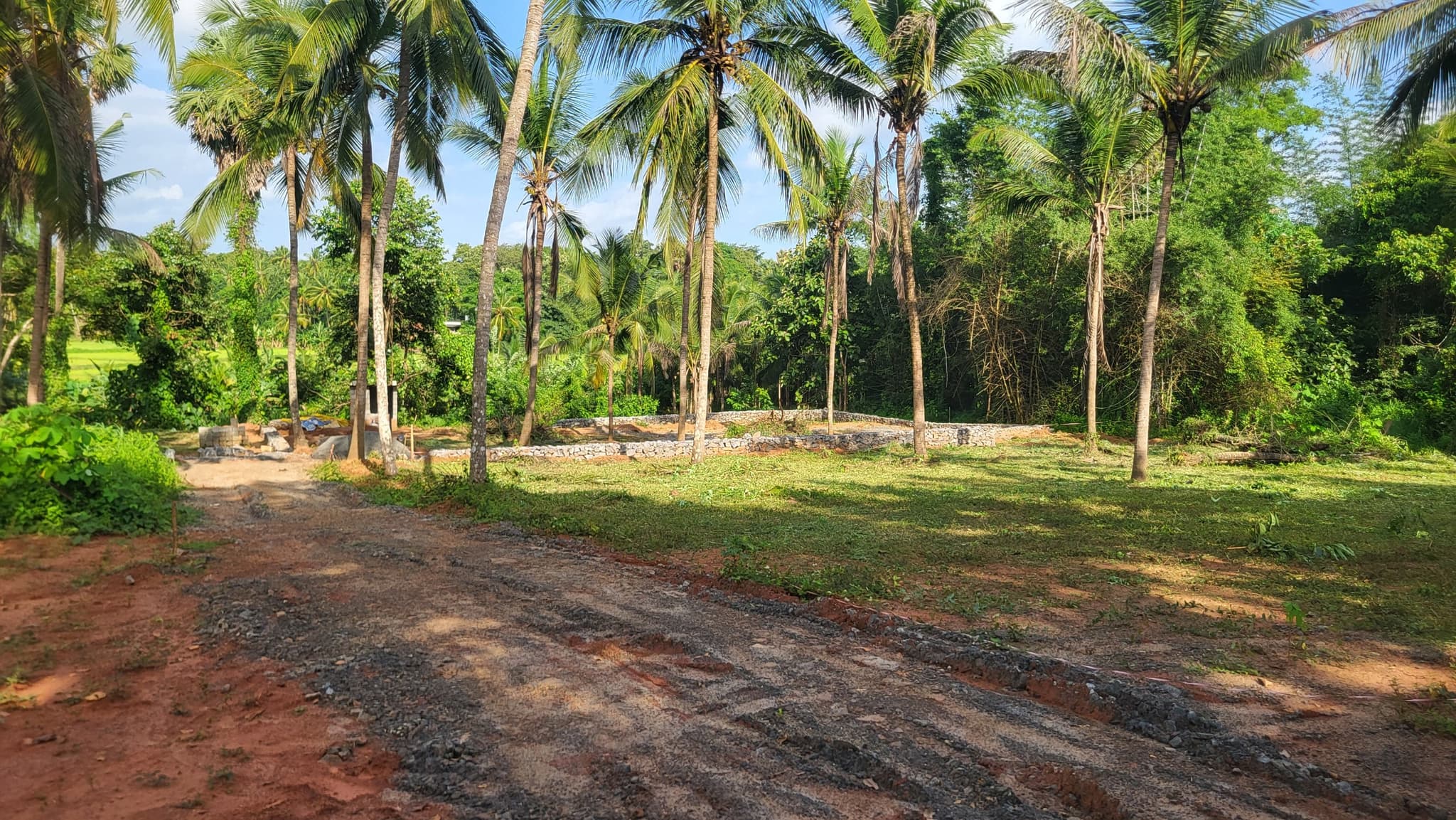 Plot for Sale in Ariyekkarparamb Colony, Palakkad