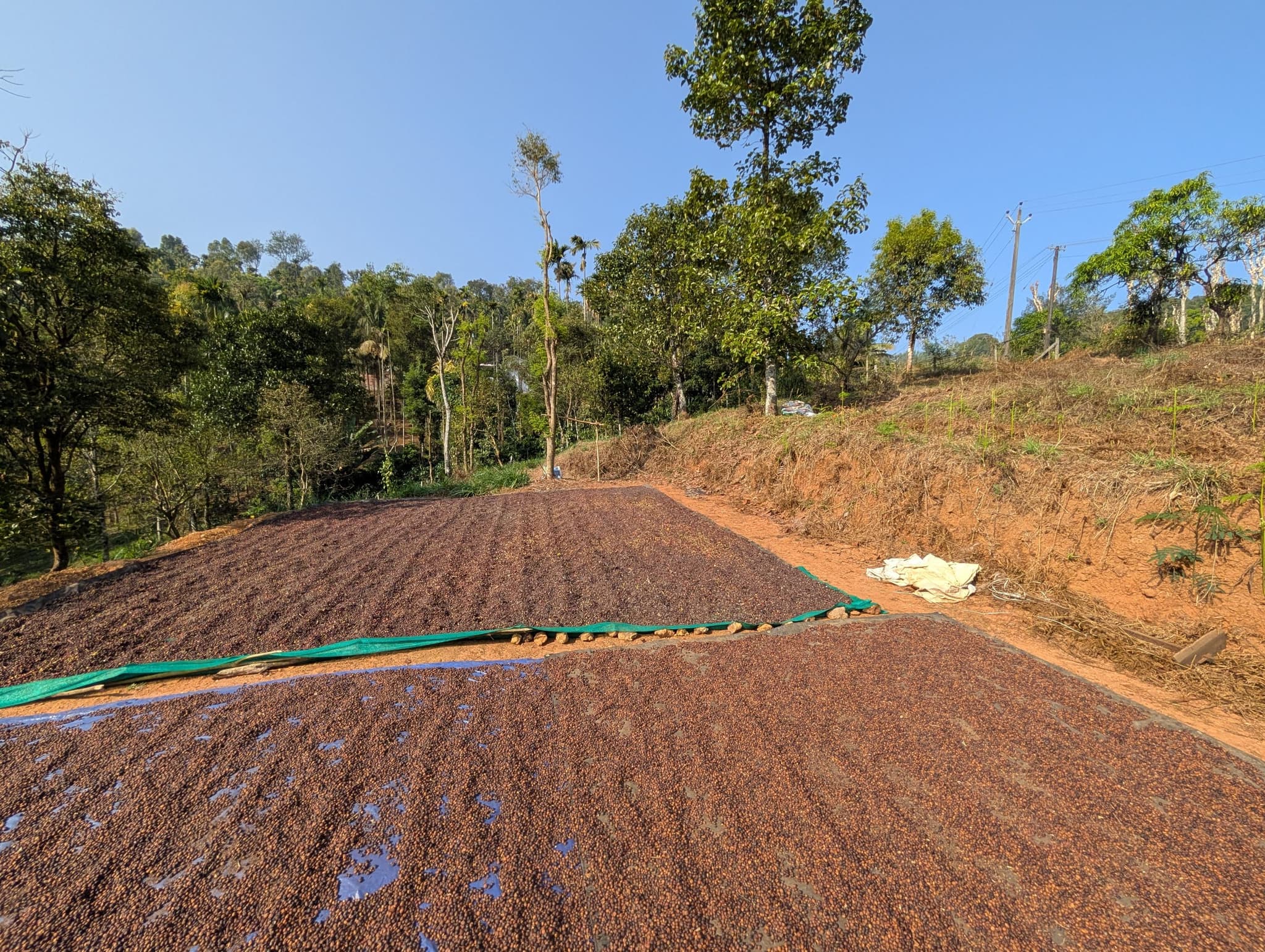 Plot for Sale in Vengathode, Wayanad