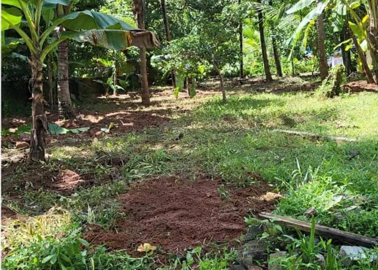 Plot for Sale in Kuttivayil/Kuzhumiyil Colony, Kozhikode